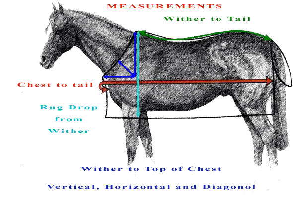 How to Make a New Strap for a Horse Blanket